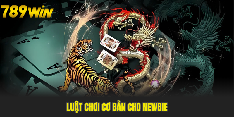 Hướng dẫn luật chơi Rồng Hổ bài bản từ A đến Z